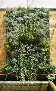 دیوار سبز رستوران اسرانتو